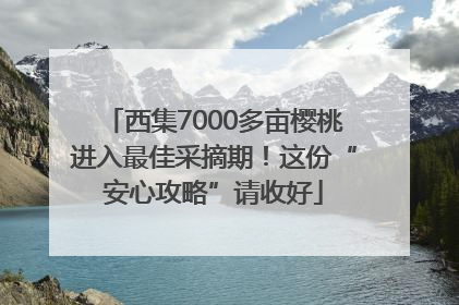 西集7000多亩樱桃进入最佳采摘期！这份“安心攻略”请收好