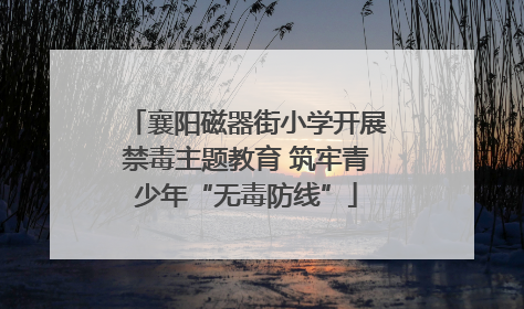 襄阳磁器街小学开展禁毒主题教育 筑牢青少年“无毒防线”