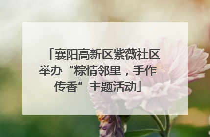 襄阳高新区紫薇社区举办“粽情邻里，手作传香”主题活动