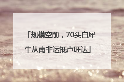 规模空前，70头白犀牛从南非运抵卢旺达