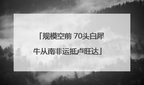 规模空前 70头白犀牛从南非运抵卢旺达