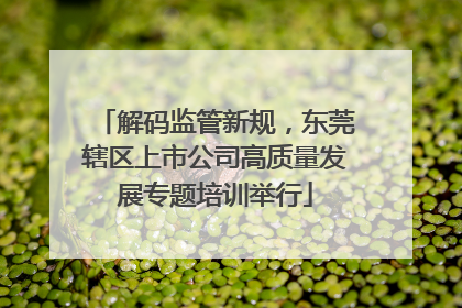 解码监管新规，东莞辖区上市公司高质量发展专题培训举行