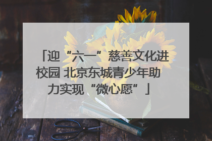 迎“六一”慈善文化进校园 北京东城青少年助力实现“微心愿”