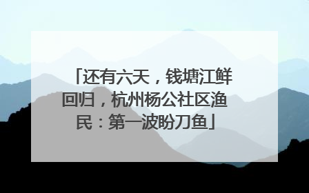 还有六天，钱塘江鲜回归，杭州杨公社区渔民：第一波盼刀鱼