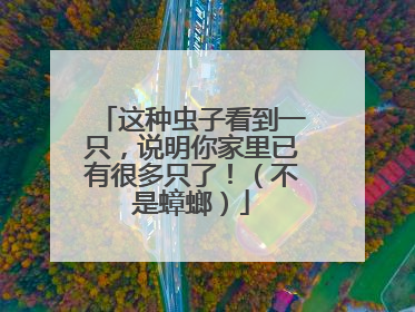 这种虫子看到一只，说明你家里已有很多只了！（不是蟑螂）