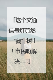 这个交通信号灯竟然“藏”树上！市民盼解决……
