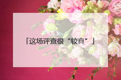 这场评查很“较真”