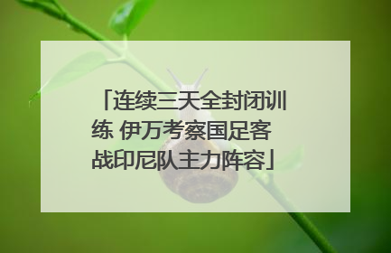 连续三天全封闭训练 伊万考察国足客战印尼队主力阵容