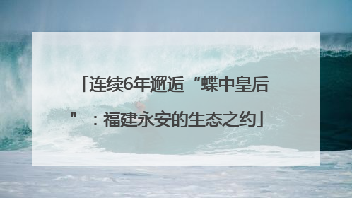 连续6年邂逅“蝶中皇后”：福建永安的生态之约