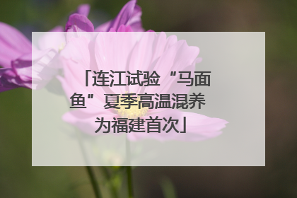 连江试验“马面鱼”夏季高温混养 为福建首次