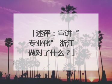 述评：宣讲“专业化” 浙江做对了什么？