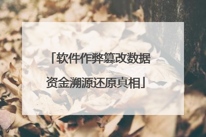软件作弊篡改数据 资金溯源还原真相