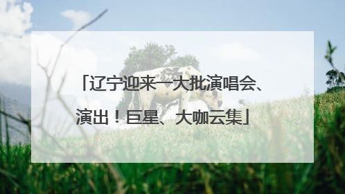 辽宁迎来一大批演唱会、演出！巨星、大咖云集