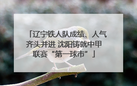 辽宁铁人队成绩、人气齐头并进 沈阳铸就中甲联赛“第一球市”