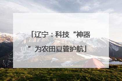 辽宁：科技“神器”为农田夏管护航