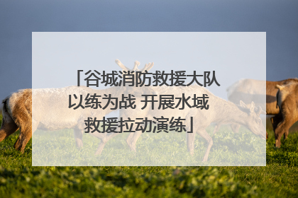 谷城消防救援大队以练为战 开展水域救援拉动演练