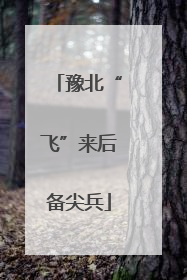 豫北“飞”来后备尖兵