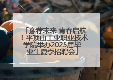 豫荐未来 青春启航！平顶山工业职业技术学院举办2025届毕业生夏季招聘会