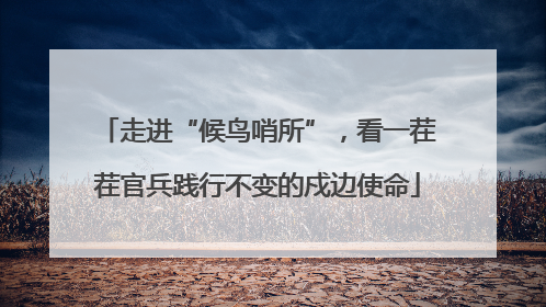 走进“候鸟哨所”，看一茬茬官兵践行不变的戍边使命