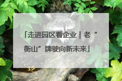 走进园区看企业｜老“衡山”牌驶向新未来