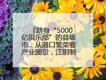 跻身“5000亿俱乐部”的县级市：从港口繁荣看产业图景，江阴制造链通全球