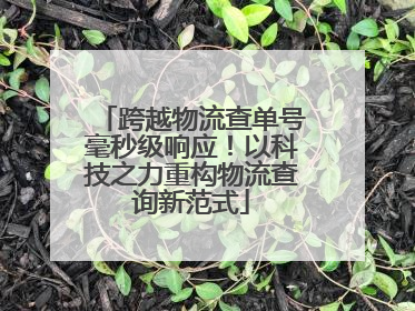 跨越物流查单号毫秒级响应！以科技之力重构物流查询新范式