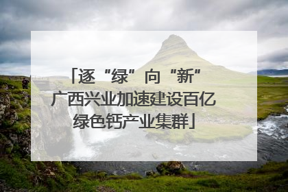 逐“绿”向“新” 广西兴业加速建设百亿绿色钙产业集群