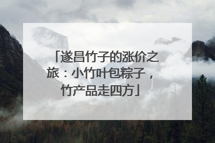 遂昌竹子的涨价之旅：小竹叶包粽子，竹产品走四方