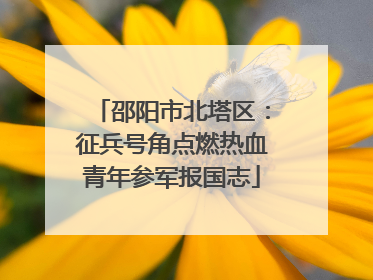邵阳市北塔区：征兵号角点燃热血青年参军报国志