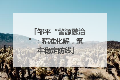 邹平“警源融治”：精准化解，筑牢稳定防线