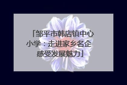 邹平市韩店镇中心小学：走进家乡名企 感受发展魅力