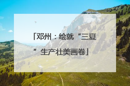 邓州：绘就“三夏”生产壮美画卷