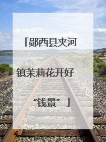 郧西县夹河镇茉莉花开好“钱景”