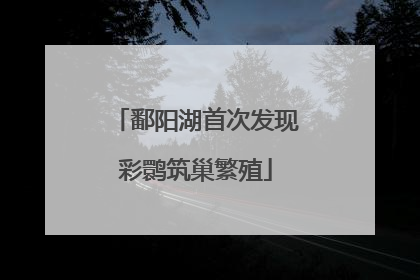 鄱阳湖首次发现彩鹮筑巢繁殖