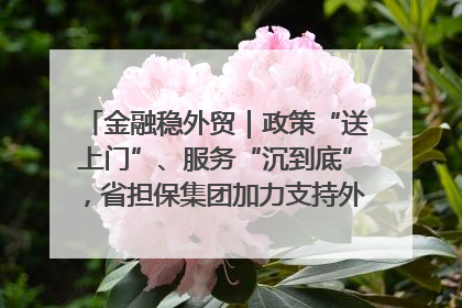 金融稳外贸｜政策“送上门”、服务“沉到底”，省担保集团加力支持外经贸高质量发展