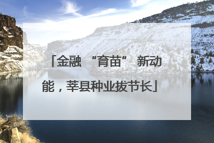 金融 “育苗” 新动能，莘县种业拔节长