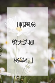 韩国总统大选即将举行