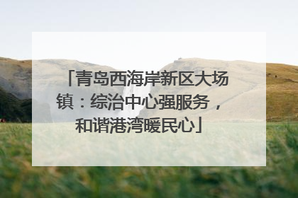 青岛西海岸新区大场镇：综治中心强服务，和谐港湾暖民心
