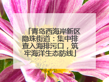 青岛西海岸新区隐珠街道：集中排查入海排污口，筑牢海洋生态防线