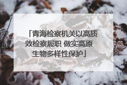 青海检察机关以高质效检察履职 做实高原生物多样性保护