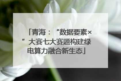 青海：“数据要素×”大赛七大赛题构建绿电算力融合新生态