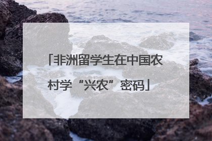 非洲留学生在中国农村学“兴农”密码