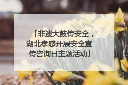 非遗大鼓传安全，湖北孝感开展安全宣传咨询日主题活动