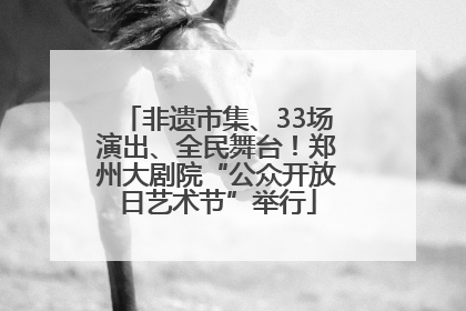 非遗市集、33场演出、全民舞台！郑州大剧院“公众开放日艺术节”举行
