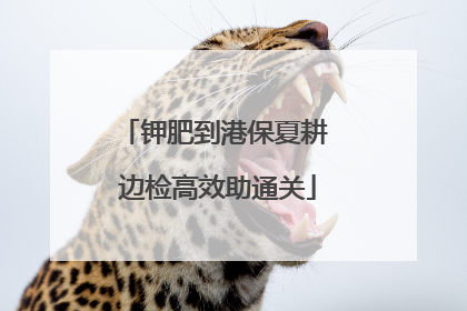 钾肥到港保夏耕 边检高效助通关