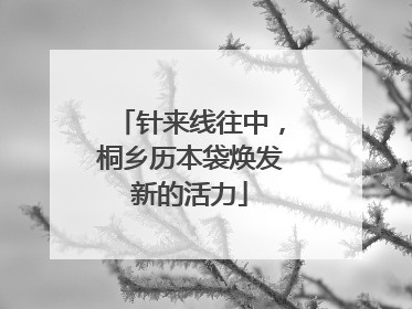 针来线往中，桐乡历本袋焕发新的活力