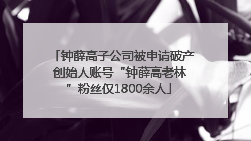 钟薛高子公司被申请破产 创始人账号“钟薛高老林”粉丝仅1800余人