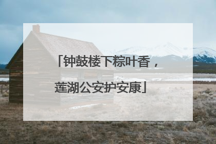 钟鼓楼下粽叶香，莲湖公安护安康