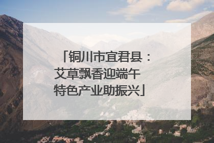 铜川市宜君县：艾草飘香迎端午 特色产业助振兴