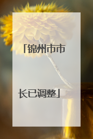 锦州市市长已调整